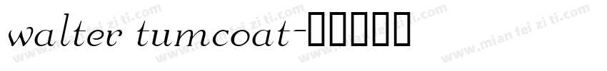 walter tumcoat字体转换